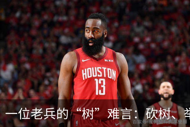一位老兵的“树”难言：砍树、举报、被带走的荒唐经历