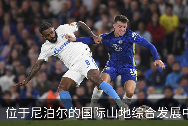 位于尼泊尔的国际山地综合发展中心称：崩塌发生在尼泊尔一侧
