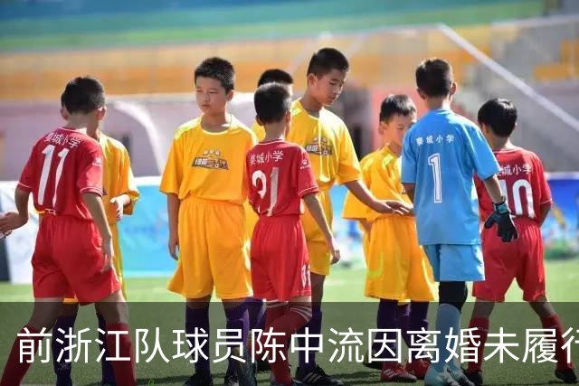前浙江队球员陈中流因离婚未履行支付抚养费义务，成失信被执行人